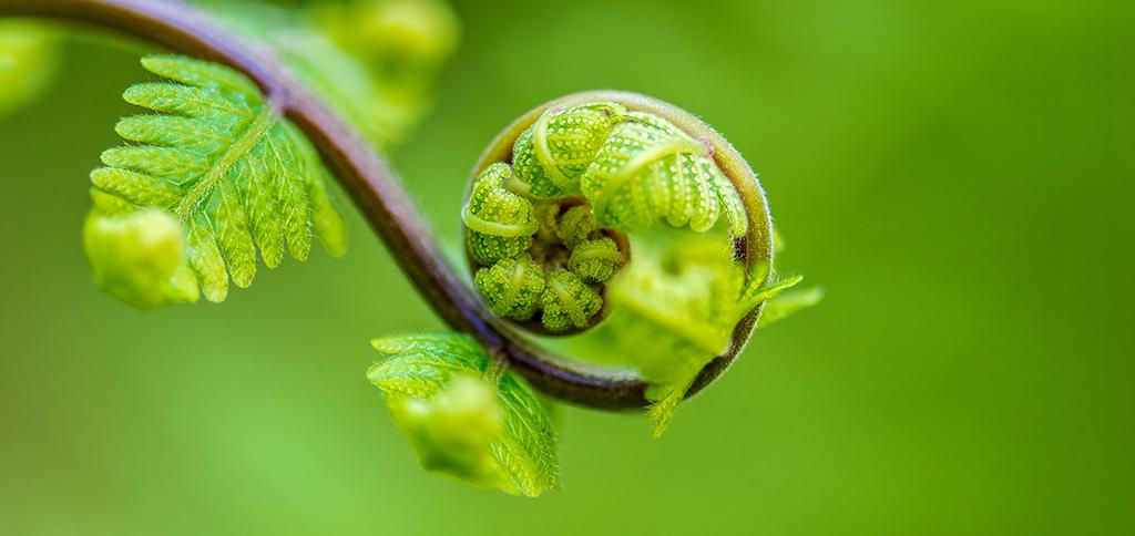 Flexibilität als Erfolgsfaktor